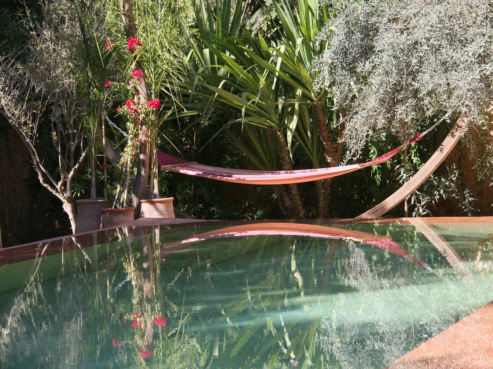Le Jardin Touagana - Campement & Lodge Touggana Eksteriør bilde