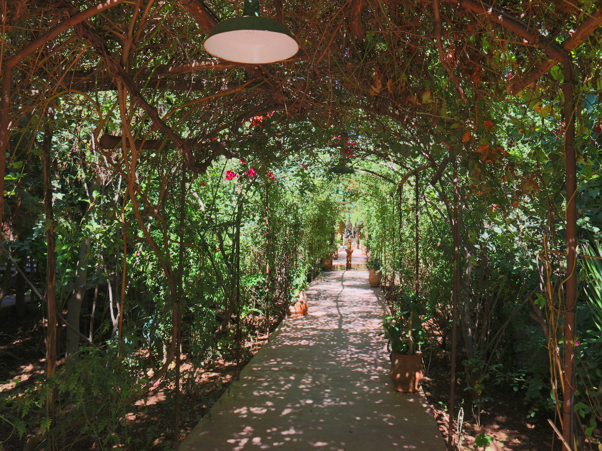 Le Jardin Touagana - Campement & Lodge Touggana Eksteriør bilde