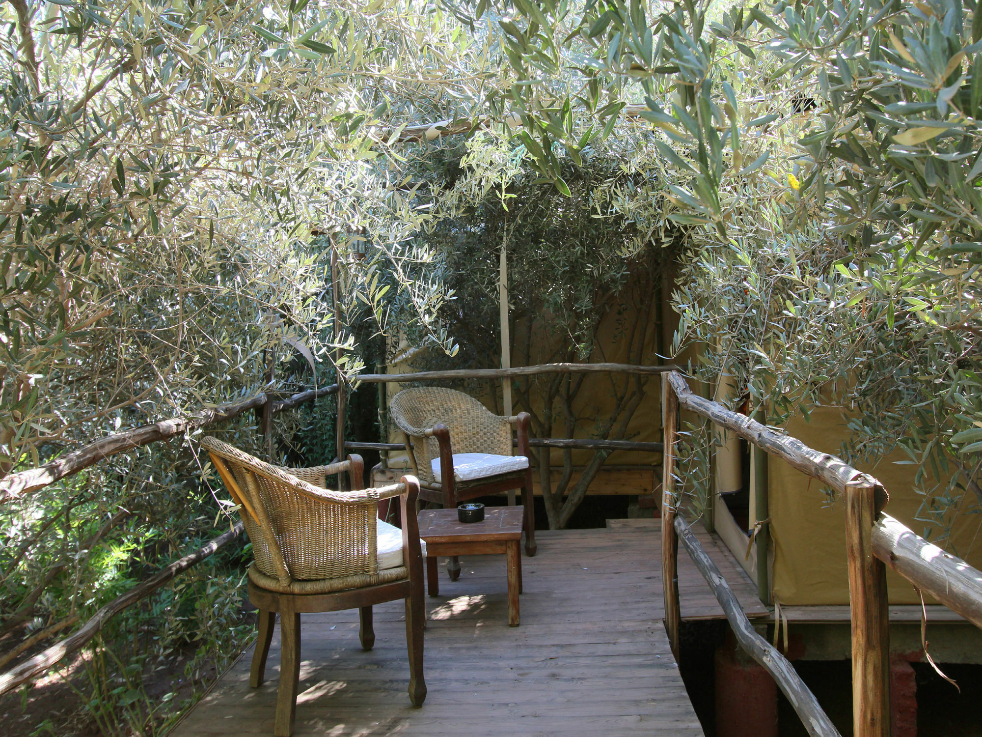 Le Jardin Touagana - Campement & Lodge Touggana Eksteriør bilde